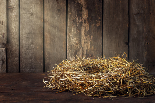 empty bird nest made of dry straw on wooden background with sunshine