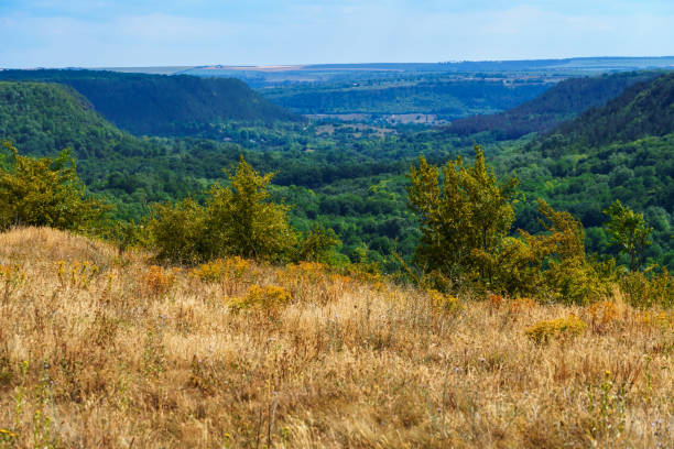 istock beautiful valley with green trees, forest on a hill and wild grass, blue sky with clouds on the horizon, beautiful summer landscape, bright sunny day 1420728452