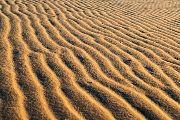 Close up shot of the sand texture in Jericoacoara Sand Dune Natural park