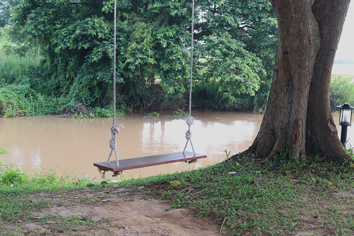 A tween boy has fun while playing outside in the backyard. The boy is smiling as his older sister pushes him on a rope swing.
