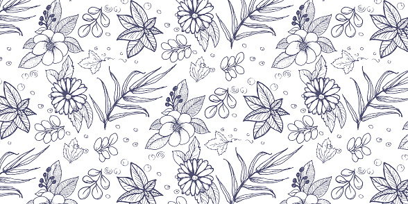 seamless pattern, flowers and herbs isolated on white background. Hand drawn sketch flowers and insects.