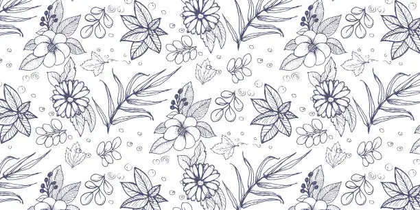 Vector illustration of seamless pattern, flowers and herbs isolated on white background. Hand drawn sketch flowers and insects.
