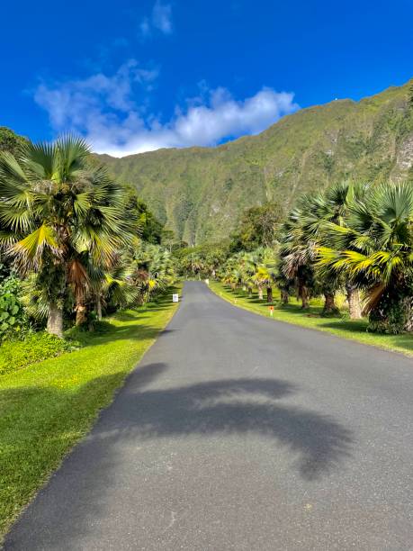 istock Ho’omaluhia Botanical Garden 1420732259