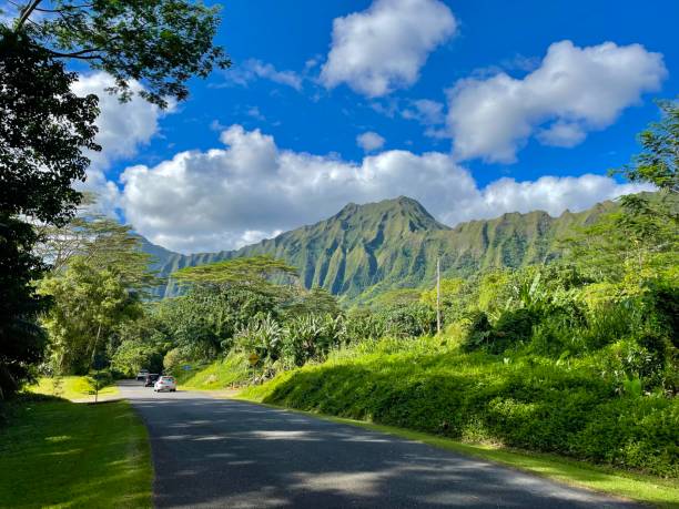 istock Ho’omaluhia Botanical Garden 1420732318