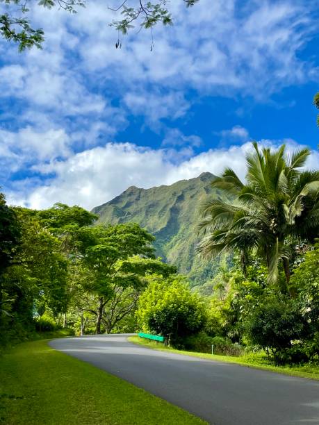 istock Ho’omaluhia Botanical Garden 1420732428