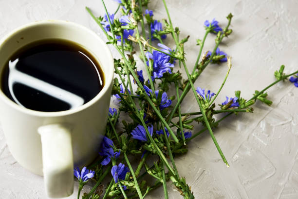 istock chicory powder in a coffee mug next to chicory flowers 1420732876