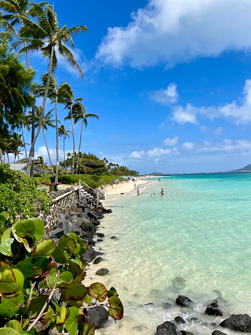 Paradise - Beach Hawaii Oahu