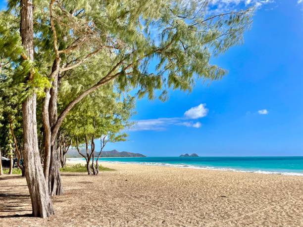 istock Paradise - Beach Hawaii Oahu 1420737851