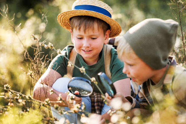 istock Two little kids with backpacks examining plants through magnifying glass in forest 1420739963