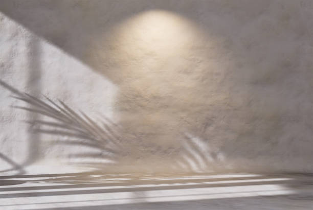 istock concrete wall panels background for product presentation empty room with shadows of window and palm leaves 1420740090
