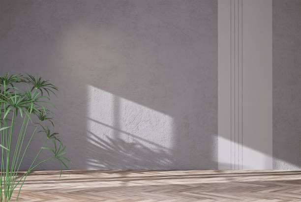 istock Mockup decorates wall paint background for product presentation empty room with shadows of window and palm leaves. 1420740697