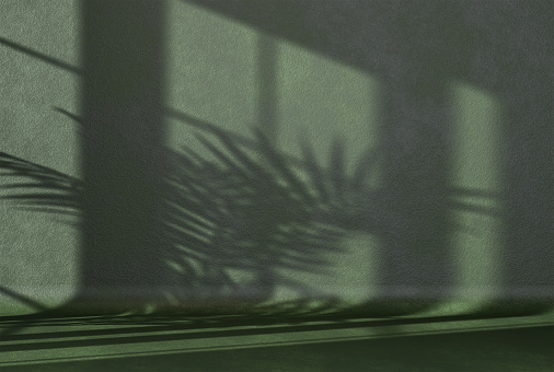 concrete green wall panels background for product presentation empty room with shadows of window and palm leaves