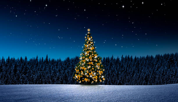christmas tree at night - wald stok fotoğraflar ve resimler