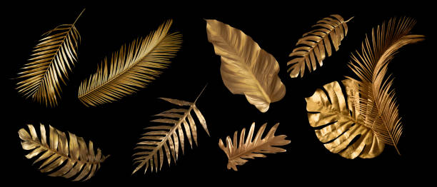 istock Tropical leaves gold and black, can be used as background(Monstera,palm,coconut) 1420744438