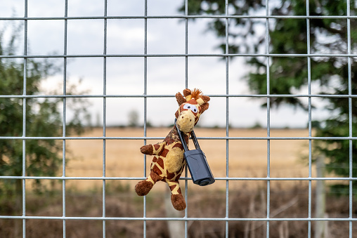 Shallow focus of a giraffe dog toy seen with a padlock around its neck on the entrance to a dog city field.