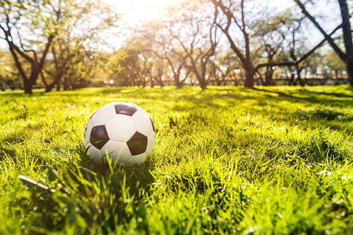 Soccer ball in park at sunset