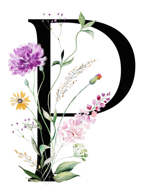 ilustraciones, imágenes clip art, dibujos animados e iconos de stock de letra mayúscula negra p con acuarela flores silvestres y ramos de hojas aislados - letter p floral pattern flower typescript