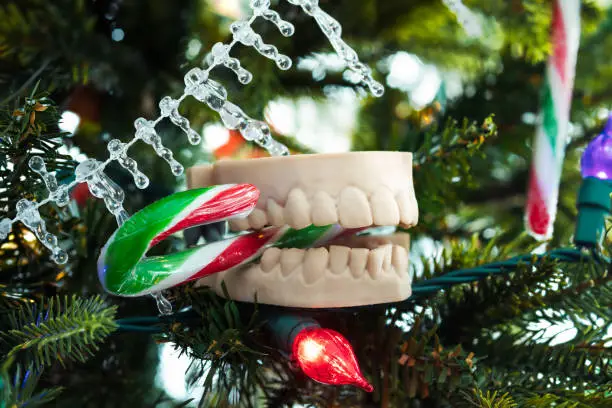 3d dentures with candy cane in mouth hanging off Christmas tree. Funny dentistry decoration or dentist holiday background. Selective focus.