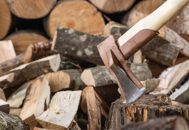 istock Hatchet Ax and Pile of Split Wood Logs for Fire, 1420752840