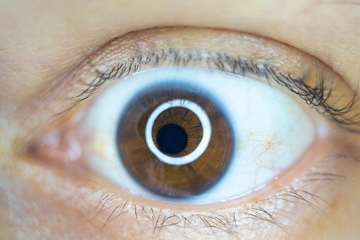 Close-up photo of human eye taken with ring light