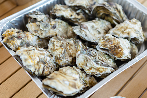 Barbecue party, oysters