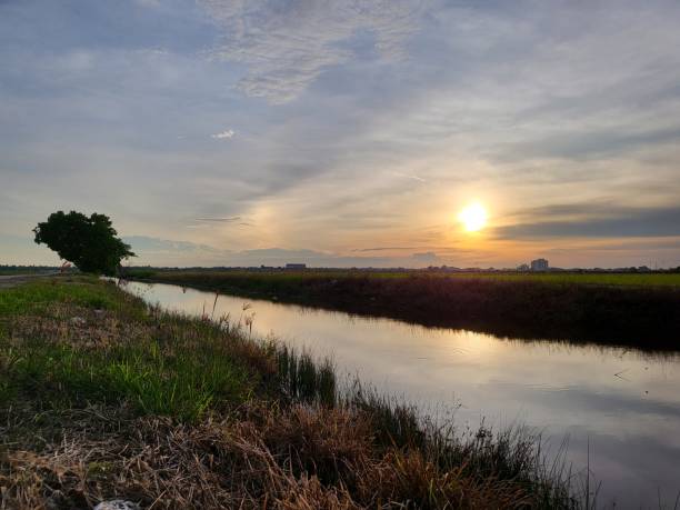 istock Beautiful sunset in Sekinchan. 1420760415