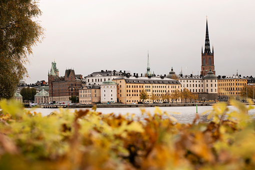 Autumn in the city. Focus on the Stockholm old town buildings, skyline and architecture. Out of focus is the yellow autumn leaves and foliage. Photo taken in Stockholm, Sweden.