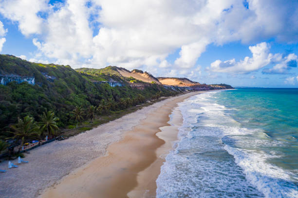 istock Aerial view of Pipa beach and Cacimbinhas Cliffs 1420768784