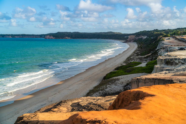 istock Aerial view of Pipa beach and Cacimbinhas Cliffs viewpoint 1420768826