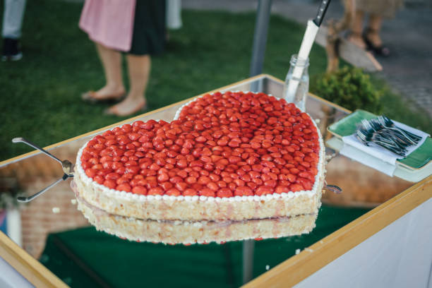 Strawberry cake, slice cut. Dark background.