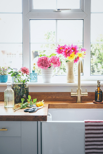 Arranging cut flowers from the garden by Belfast sink in the kitchen. Flowers in the vases are Cactus Dahlia, Decorative Dahlia, Hydrangea and rose.