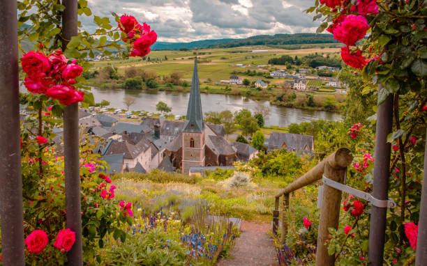 旅行ドイツモーゼルワイン産地 - german culture germany vineyard village ストックフォトと画像