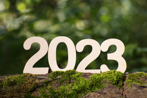 wooden numbers 2023 against a on a green background of moss. happy new year 2023 background banner template. celebrate earth's day. stock photo
