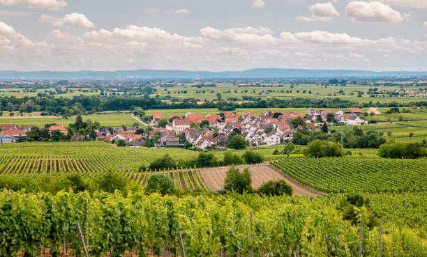 istock Travel Germany Southern Wine Route 1420776578