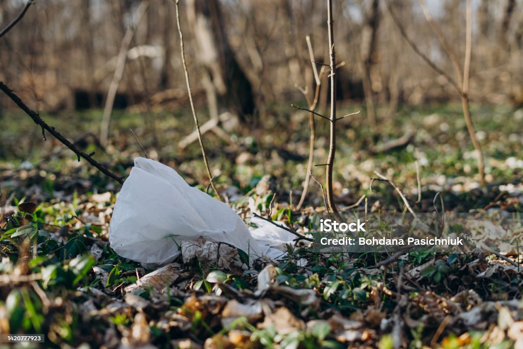 Plastic bag in spring forest. Plastic garbage in nature. Spring forest with scattered white plastic bags. Ecological catastrophe. Pollution of environment with garbage. Plastic bag in the spring forest. Plastic garbage in nature. Spring forest with scattered white plastic bags. Ecological catastrophe. Pollution of the environment with garbage. Plastic Bag Stock Photo