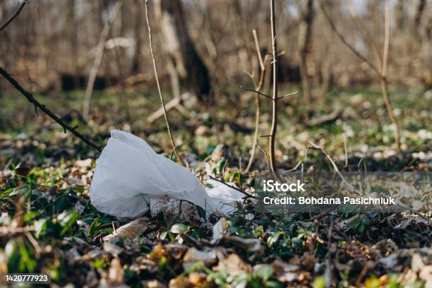 Plastic Bag In Spring Forest Plastic Garbage In Nature Spring Forest With Scattered White Plastic Bags Ecological Catastrophe Pollution Of Environment With Garbage Stock Photo - Download Image Now