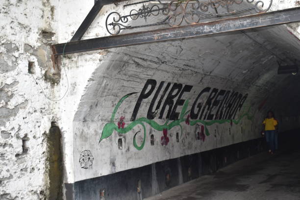 túnel sendall en st. george's, granada - hurricane ivan fotografías e imágenes de stock