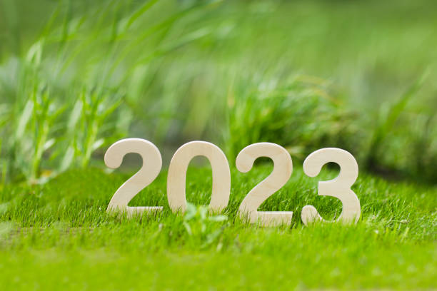 wooden numbers 2023 against a green grass background. happy new year 2023 background banner template. celebrate earth's day. stock photo