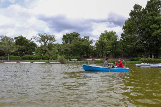 Oar of paddle boarder half way submerged in water paddling