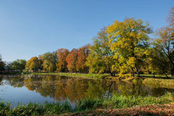 Colorful Polish Autumn. Park in Białystok - Dojlidy stock photo