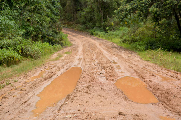 estrada rural úmida enlameada em chiang mai, ao norte da tailândia. trilha estrada de lama na paisagem rural natureza florestal. transporte de barro marrom poddle way no país - mud road tire track footpath - fotografias e filmes do acervo