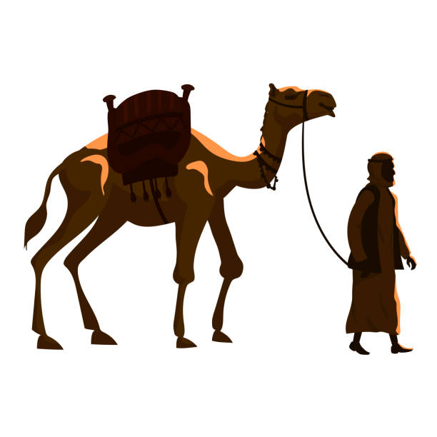 camel-and-arab-man-cameleer-