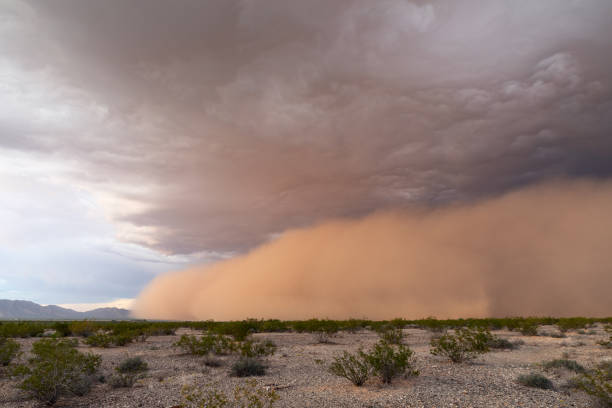 istock Dust storm in the Arizona desert 1420784248