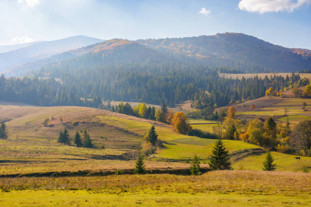 istock mountainous rural landscape 1420785545
