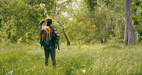 Man hiking with a backpack a green forest landscape in front of him with trees and green grass field. Woman walking for adventure and explore nature while looking at the view during spring or summer