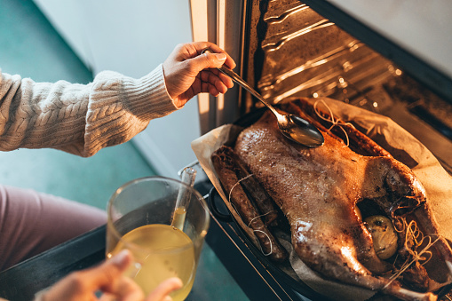 close up of female hand putting meat juice at goose roast in oven for christmas dinner