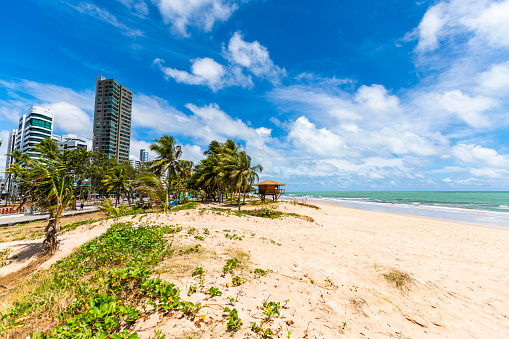 Wide angle view of the main beach in the city, with a large sand space and coconut trees