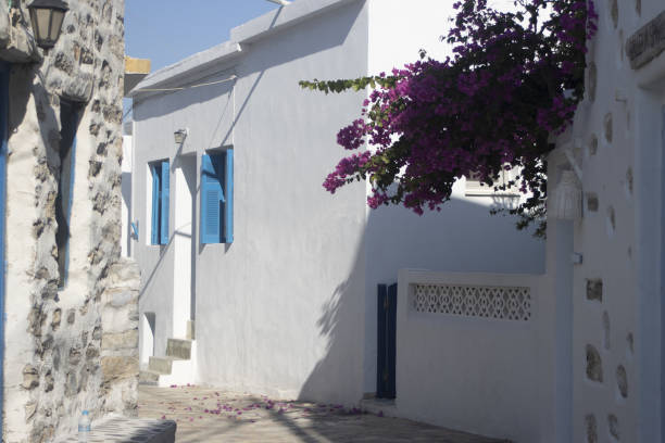 istock white alley of Koufunissi 1420793556