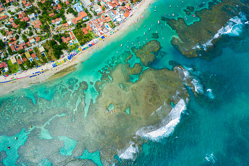 Landscape of the beautiful beach of Porto de Galinhas with its tidal polls and green sea