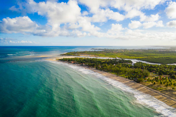 istock Maracaipe Beach in Porto de Galinhas 1420794857